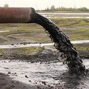 environmental inflammation sm 180 x 180