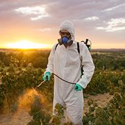 pesticides inflammation sm 180 x 180